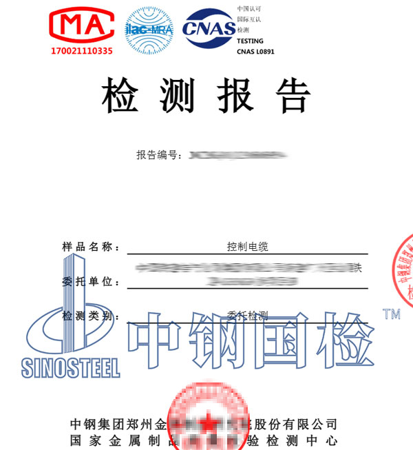 成束燃燒試驗(yàn)檢測報告